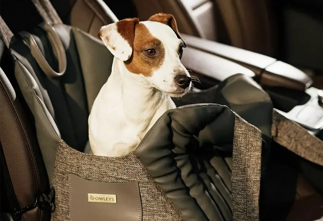 Lexus NX Dog Carrier Car Seat for Fox Terrier