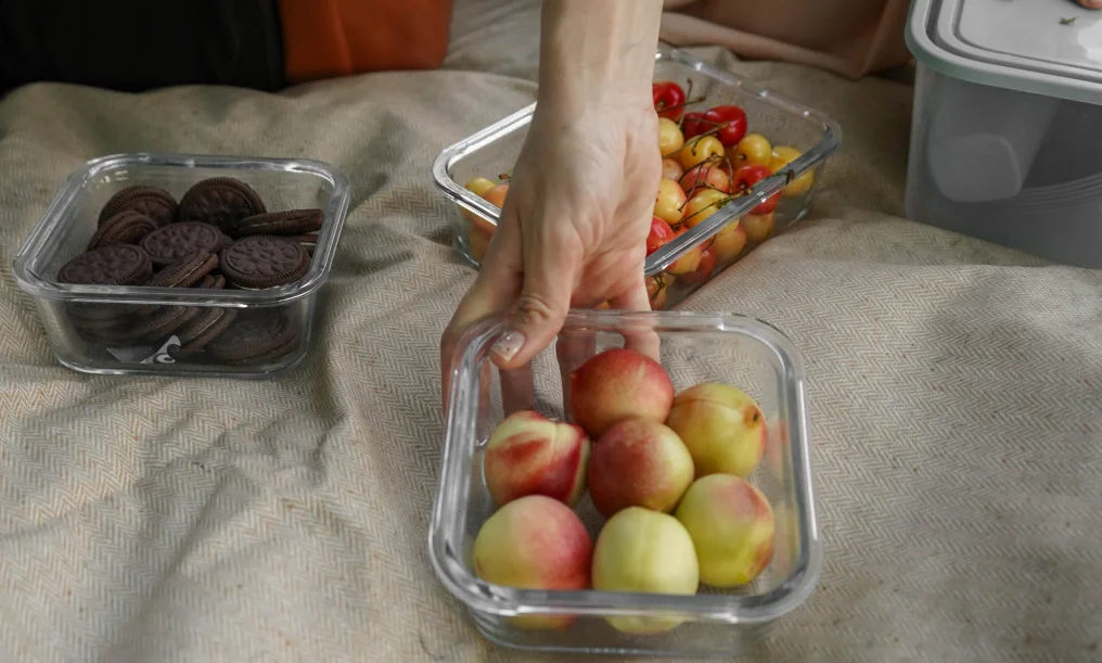 camp picnic blanket