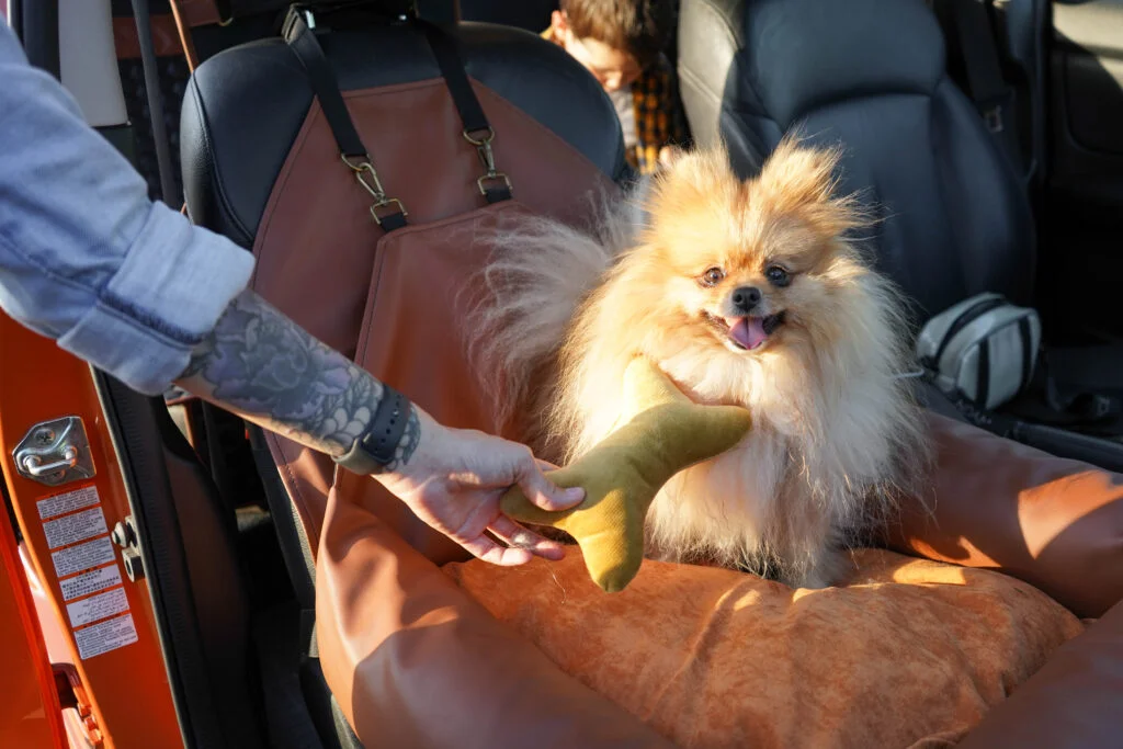 Lexus NX Dog Car Seat for Basset Hounds