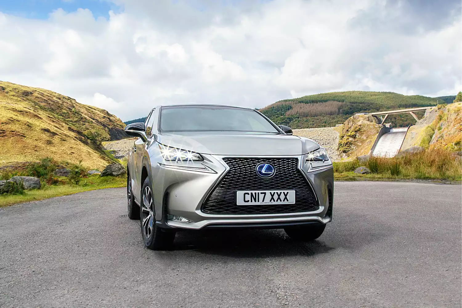 Lexus NX car trash can