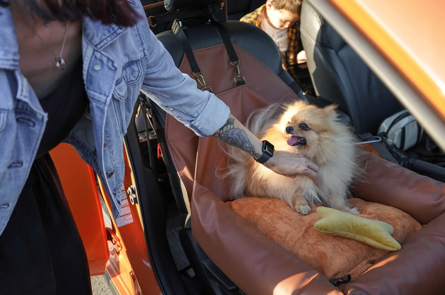 Lexus NX Dog Car Seat for Basset Hounds